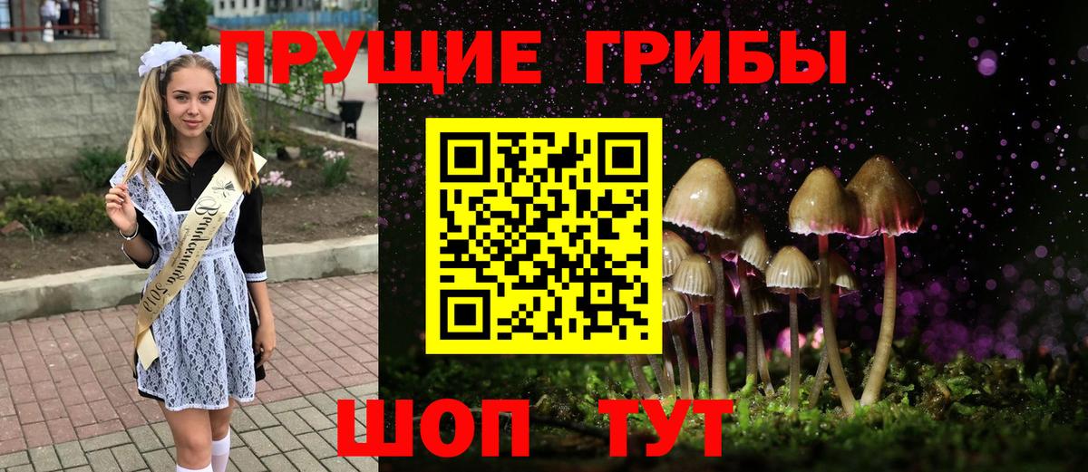 Псилоцибиновые грибы мицелий  Вход с VPN  Хабаровск 